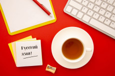 Внеурочка в началке Свиблово. Интеллектика (Эрудит русский язык)
